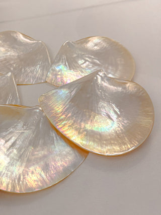 Iridescent natural clamshell plates made for luxurious small desserts and pastries.
