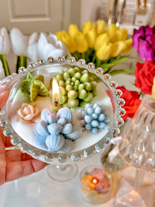 Succulents Bowl Candle