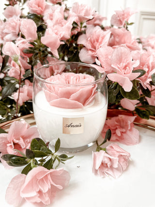 Austin Rose Candle surrounded by gorgeous pink florals.