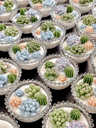 Succulents Bowl Candle.