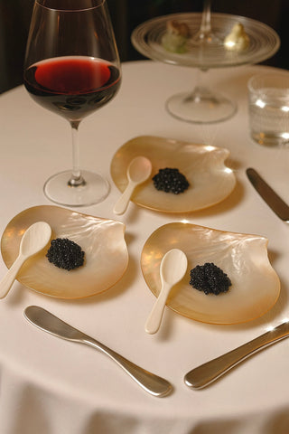 Moonlit Tides — Mother of Pearl Caviar Seashell Plate & Spoon Set of 5