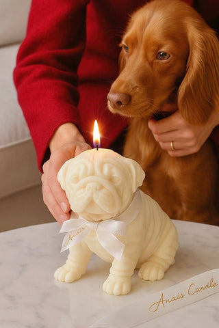 Vela Anaïs Puppy en palisandro
