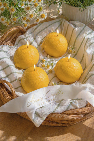 Amalfi Limone Candle Set of 4 beside fresh lemons on a marble countertop