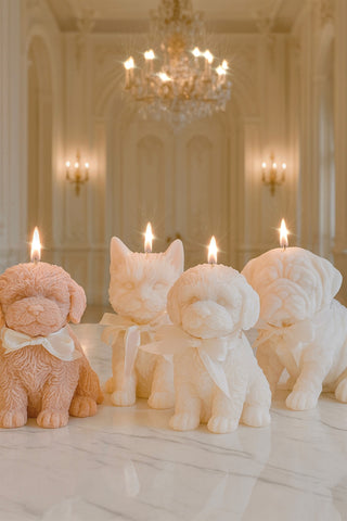 Juego de velas con forma de cachorro de Anaïs 