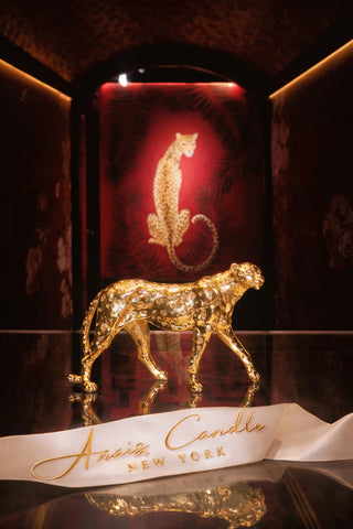 Prestigious Golden Leopard