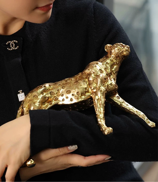 Prestigious Golden Leopard being caressed and held.