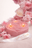 Blush Pink