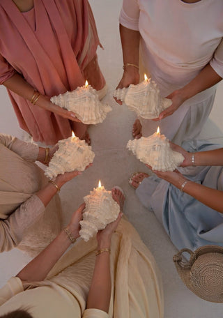 Opaline Conch Seashell Candle - XL styled in a designer coastal residence