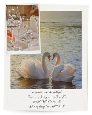 Swan’s Promise Crystal Wine Glass Cup Set of 2