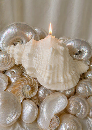 Opaline Conch Seashell Candle - XL on a marble vanity in a 5-star hotel