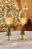 Frasir Fir