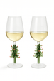 Frasir Fir
