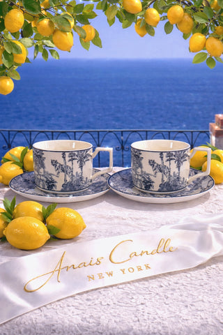 Bleu Riviera Toile Teacup & Saucer Set of 2
