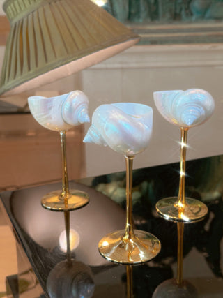 Seashell Enchanté Cup™️ Set of 2 in Gold