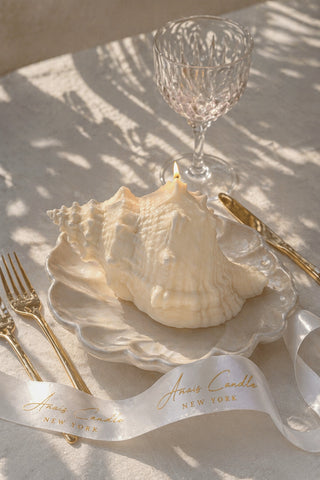 Opaline Conch Seashell Candle - XL in a luxury spa retreat by the sea