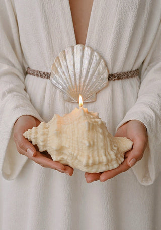 Opaline Conch Seashell Candle - XL in a Malibu beachfront home