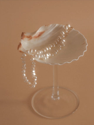 Shellé Oceana Cup™️ Set of 2