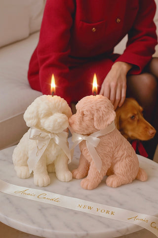 Juego de velas con forma de cachorro de Anaïs 